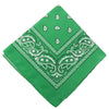 Bandana cheveux vert